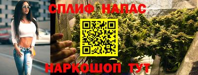 крисы Славянск-на-Кубани