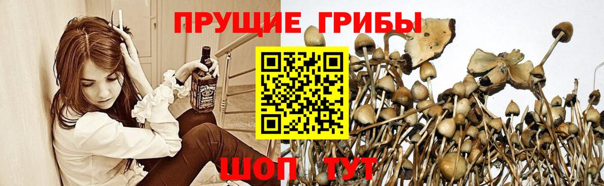 Псилоцибиновые грибы прущие грибы  Псилоцибиновые грибы Magic Shrooms  Вход с VPN  Балашов 